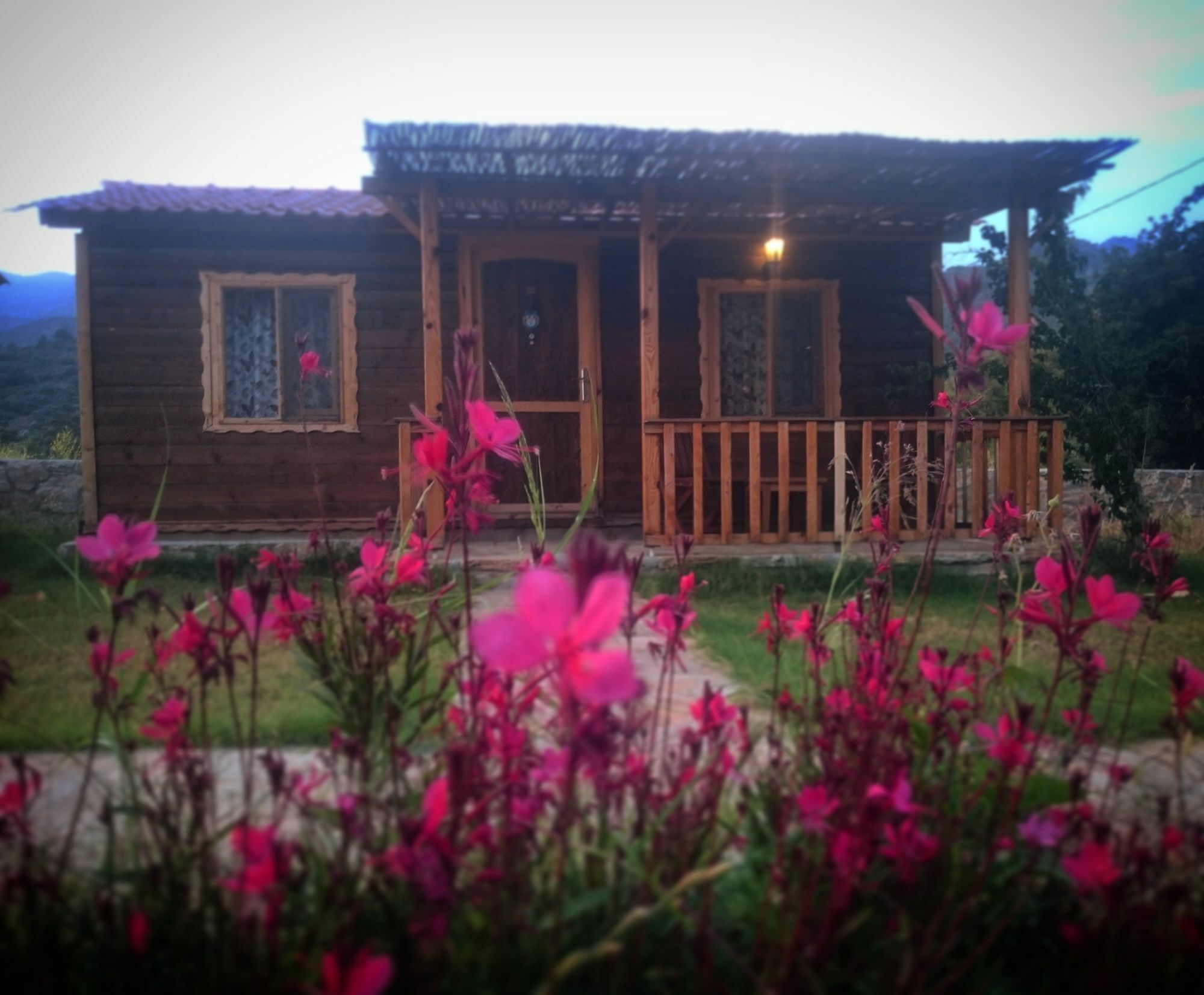 Ipekce Tatil Evleri Mesudiye  外观 照片
